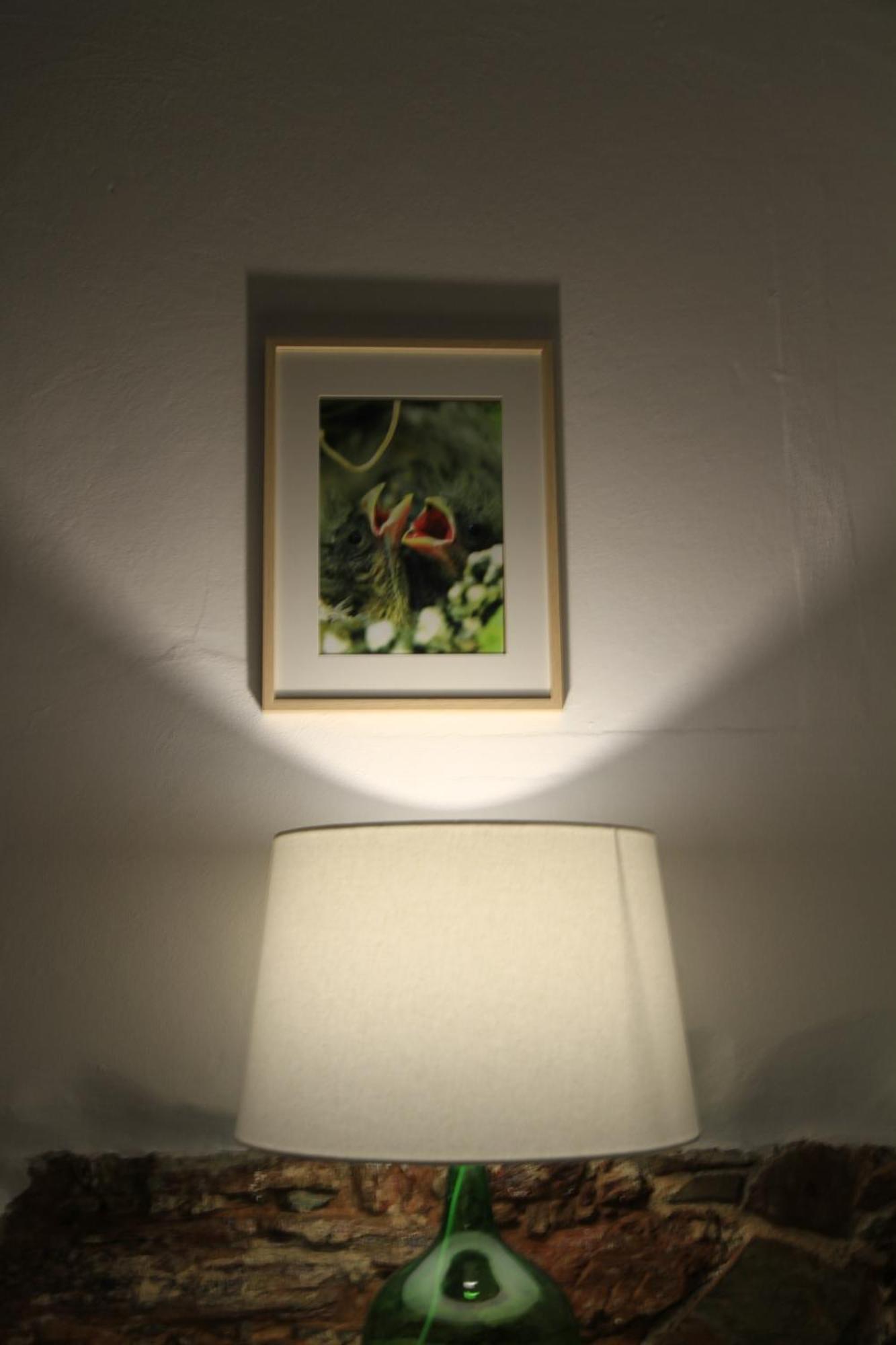 モンサラズ Casa Dos Avosヴィラ エクステリア 写真