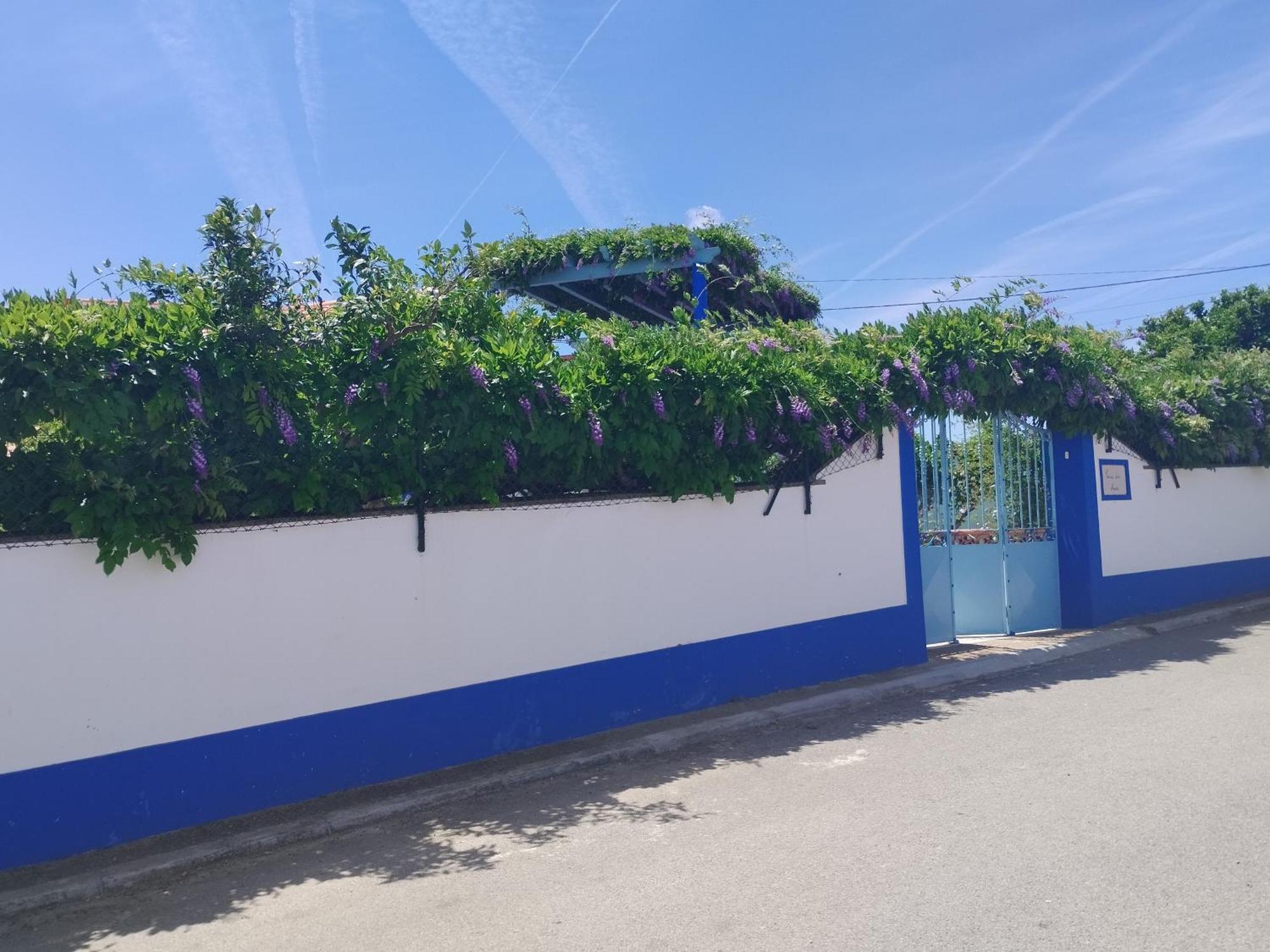 モンサラズ Casa Dos Avosヴィラ エクステリア 写真