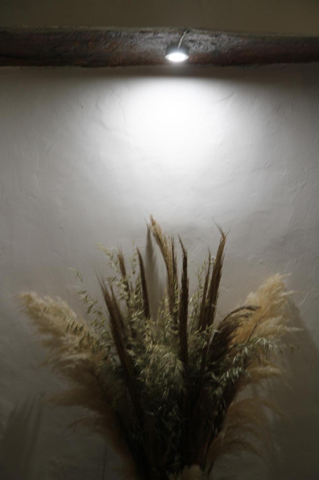 モンサラズ Casa Dos Avosヴィラ エクステリア 写真