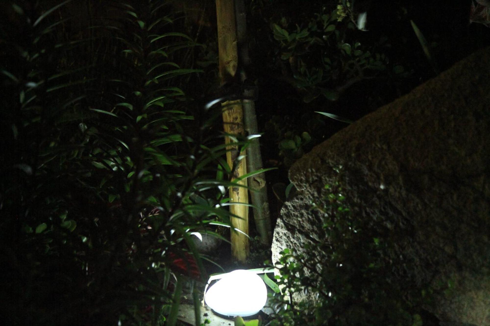 モンサラズ Casa Dos Avosヴィラ エクステリア 写真